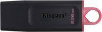 Image of Kingston USB3 G1 DTE Flash Drive -  1