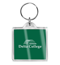 Delta College Waterfall Keychain