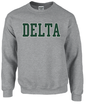 Double Layered Crew with Applique - main view