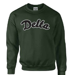 Double Layered Crew with Chenille Applique - main view