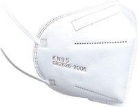Nursing KN95 Masks 10pk