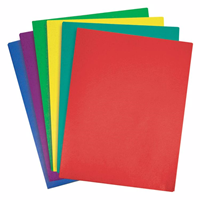 Standard 2-pocket folder