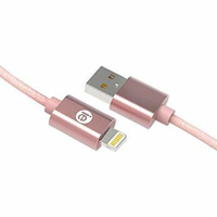 iEssentials 10ft Lightning Braided Cable